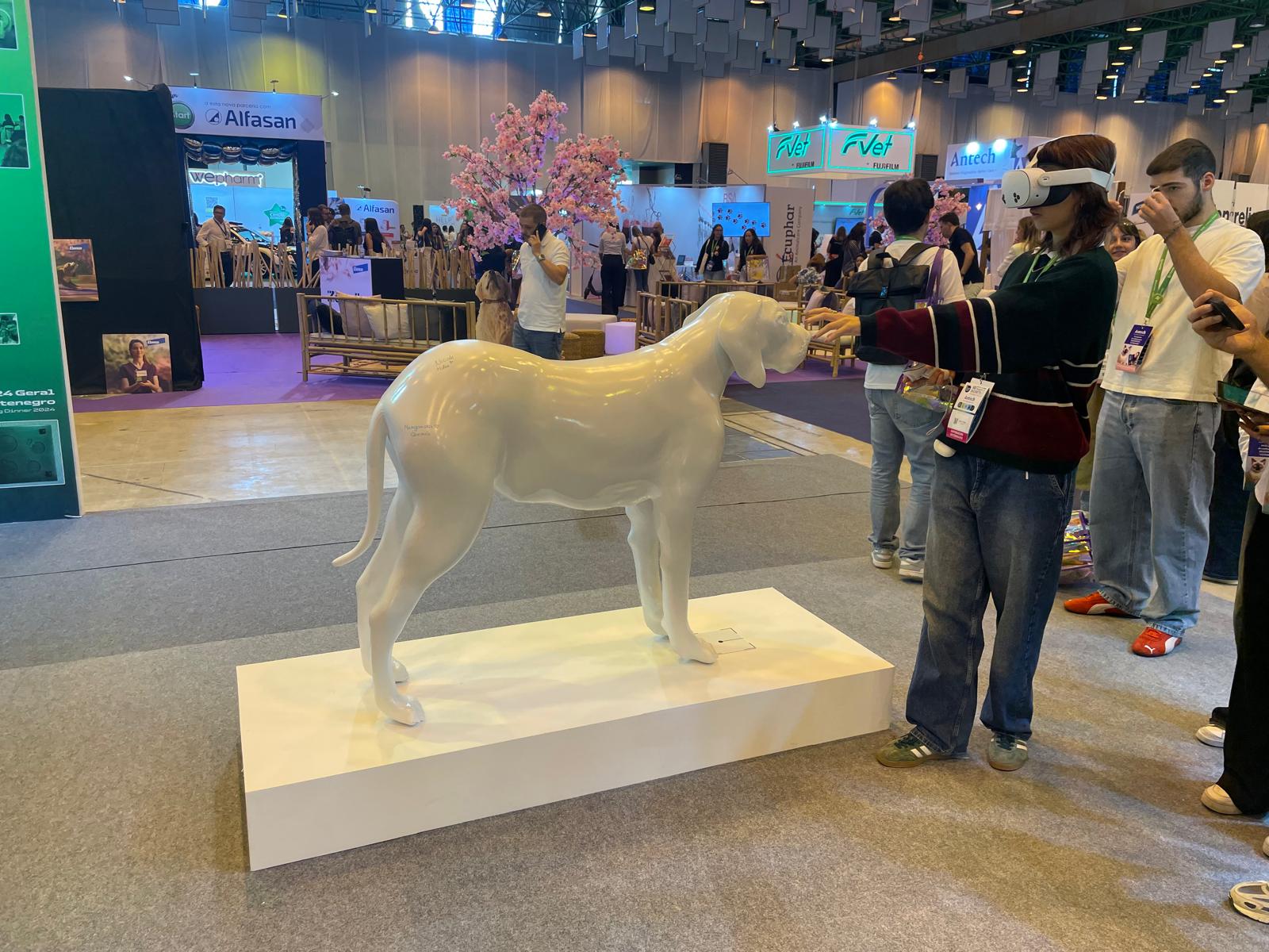 AR: Going Beyond the Screen